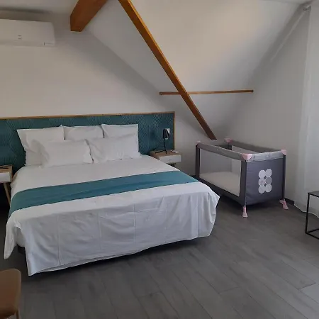 Les Gentianes Fleurs Des Pyrenees