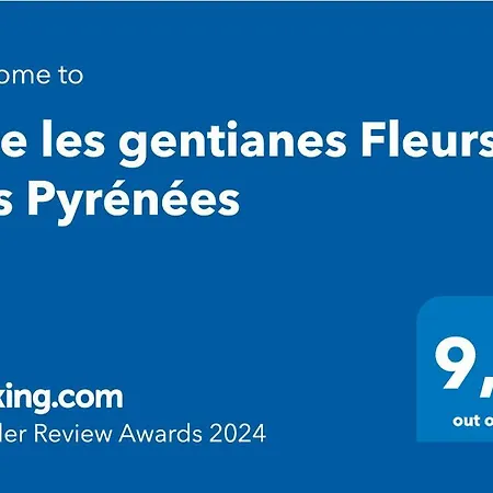 Les Gentianes Fleurs Des Pyrenees Дом отдыха Аржеле-Газо
